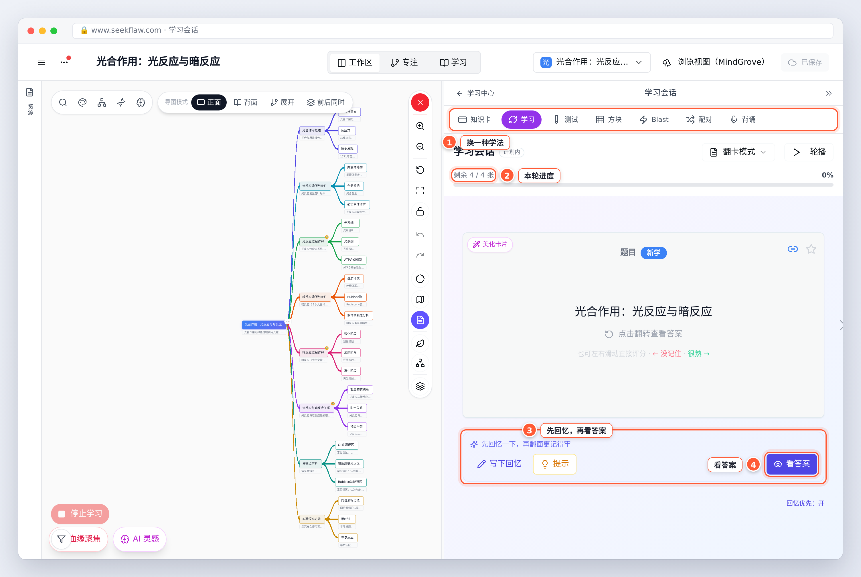 卡片正面：先回忆，再看答案
