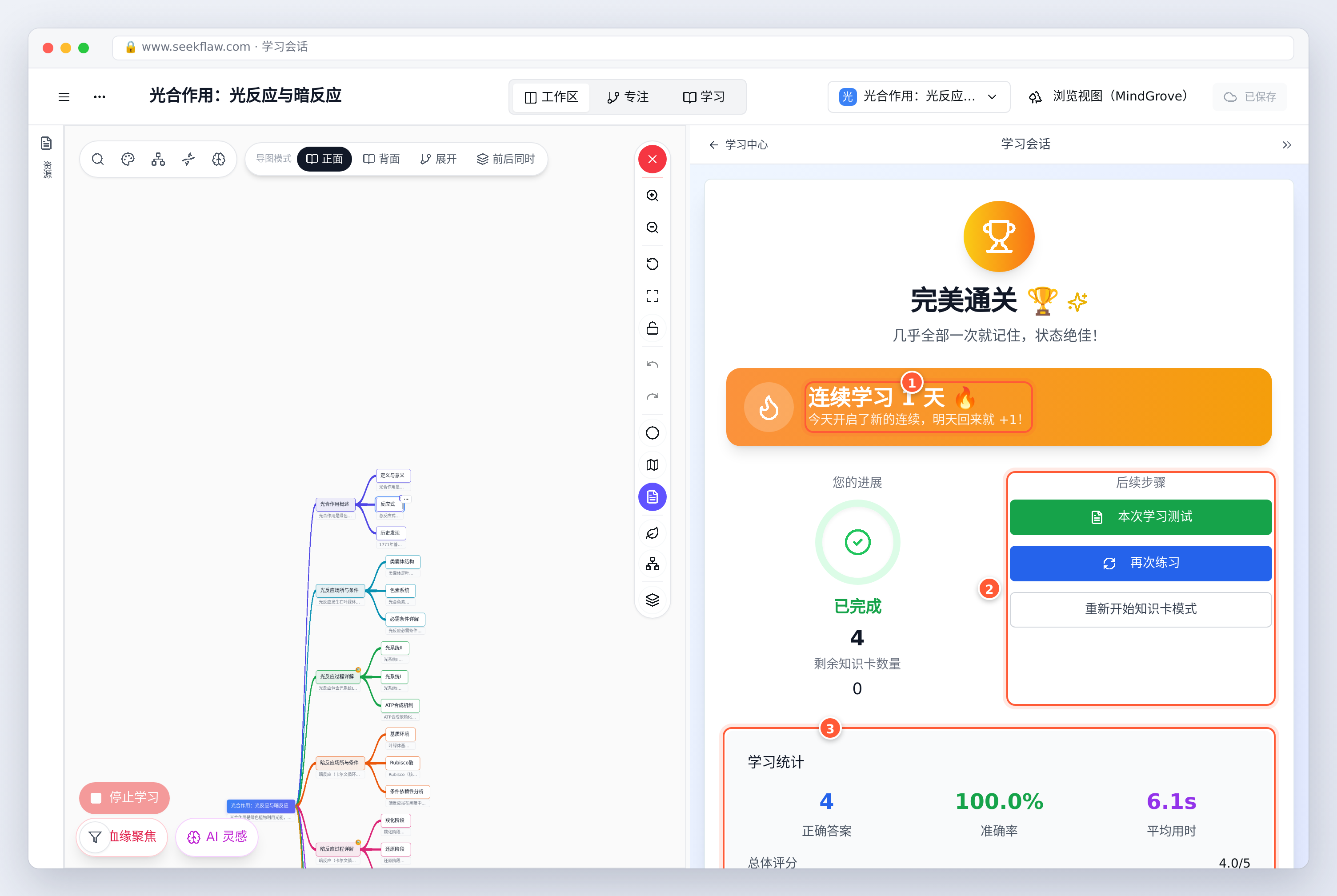 本轮学完：连续打卡、后续步骤与学习统计