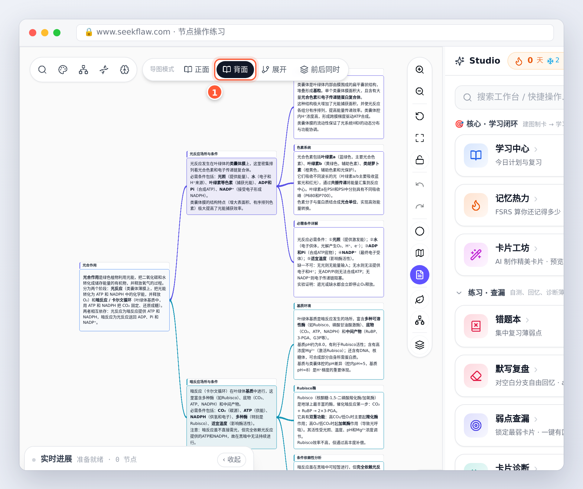 背面模式：每个节点显示完整讲义
