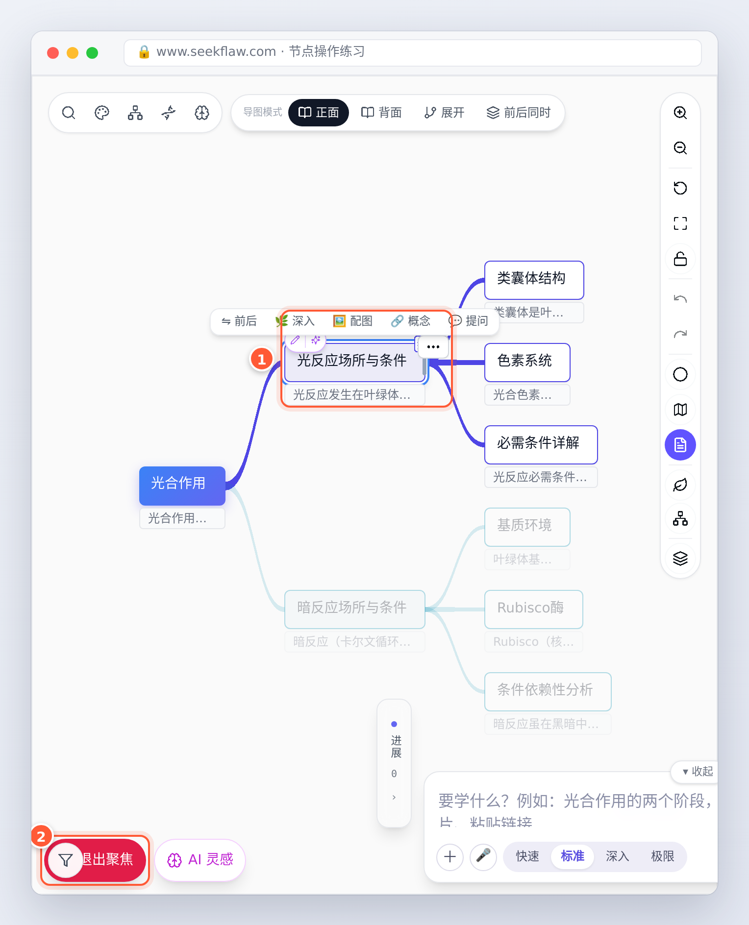 血缘聚焦：保留选中节点的祖先链和全部后代，其余淡出