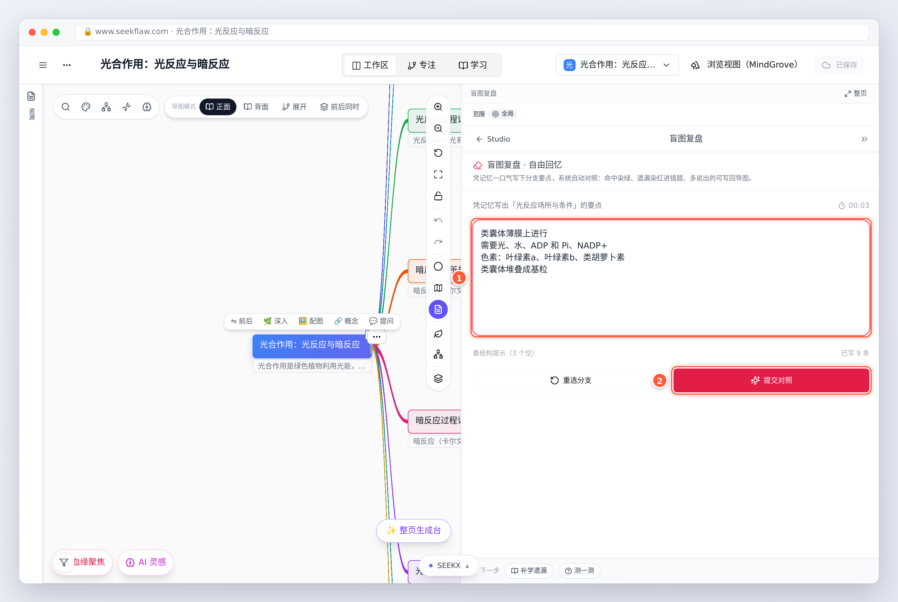 凭记忆写下这个分支的要点