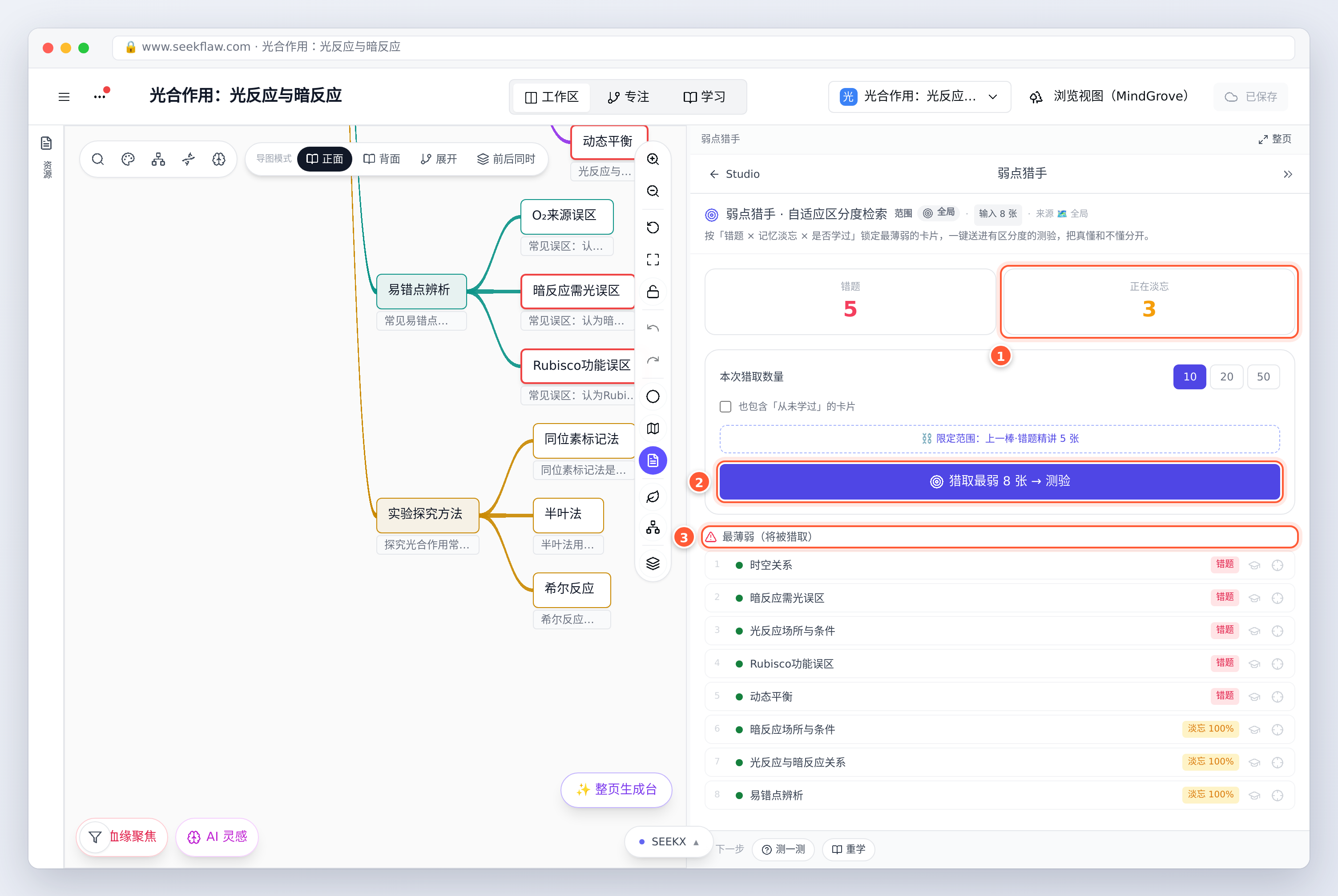 弱点查漏：错题数、正在淡忘数、最薄弱的卡片列表