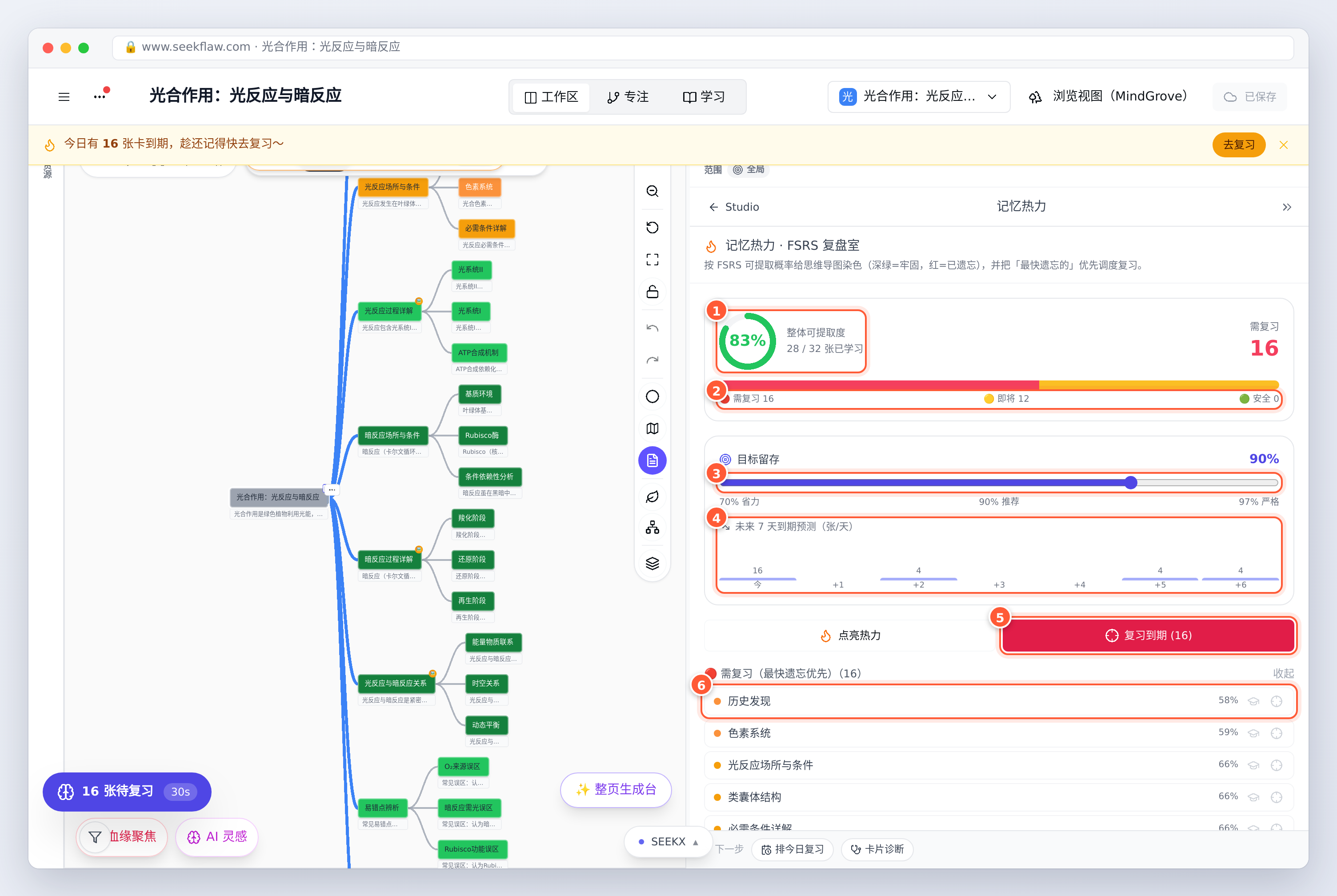 记忆热力面板：整体记住概率、需复习 / 即将 / 安全，以及目标留存和未来 7 天预测