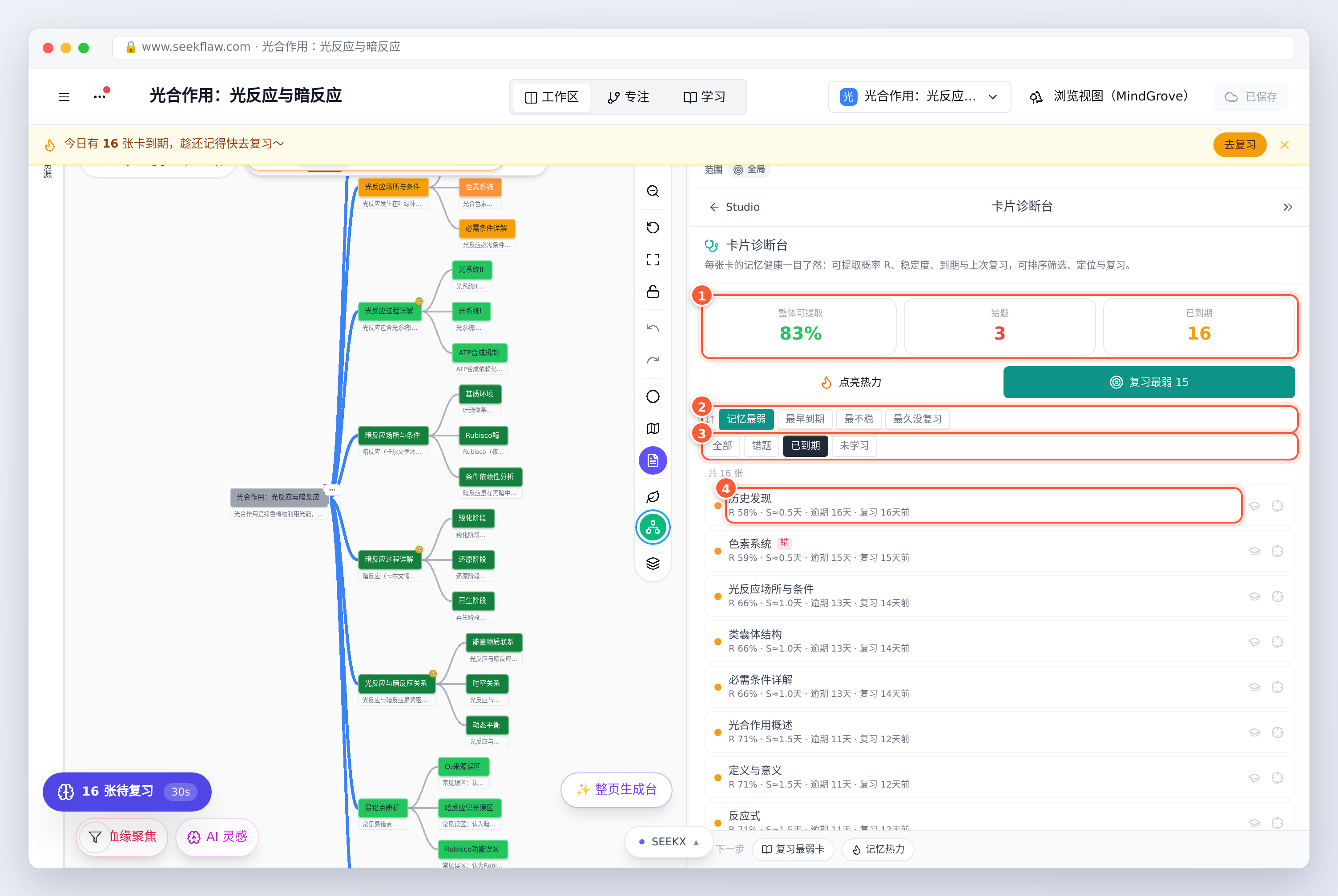 卡片诊断：整体、错题、已到期三项统计，排序与筛选，每张卡的记住概率与逾期天数