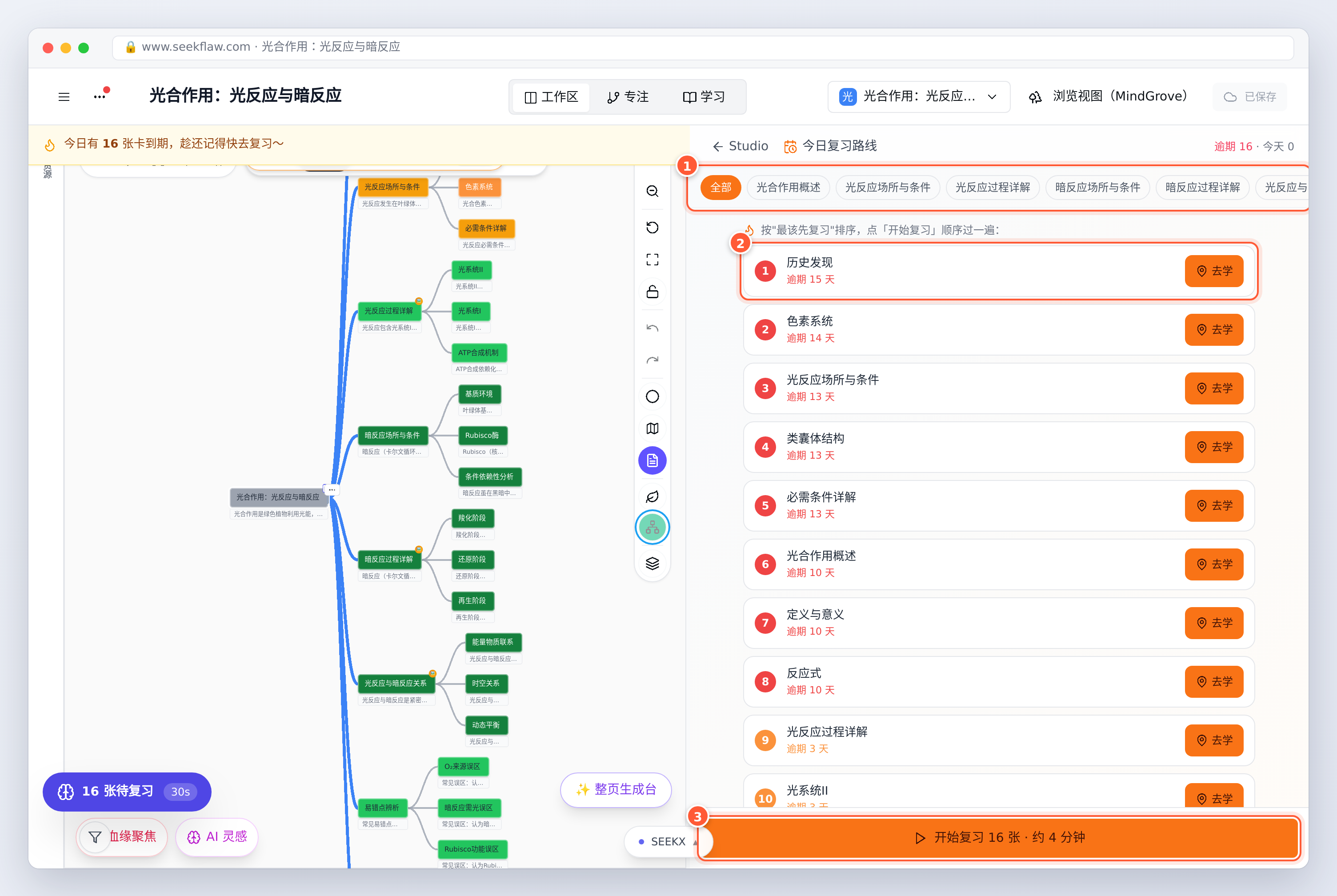 今日复习路线：按分支筛选，逾期最久的排最前，一键开始复习