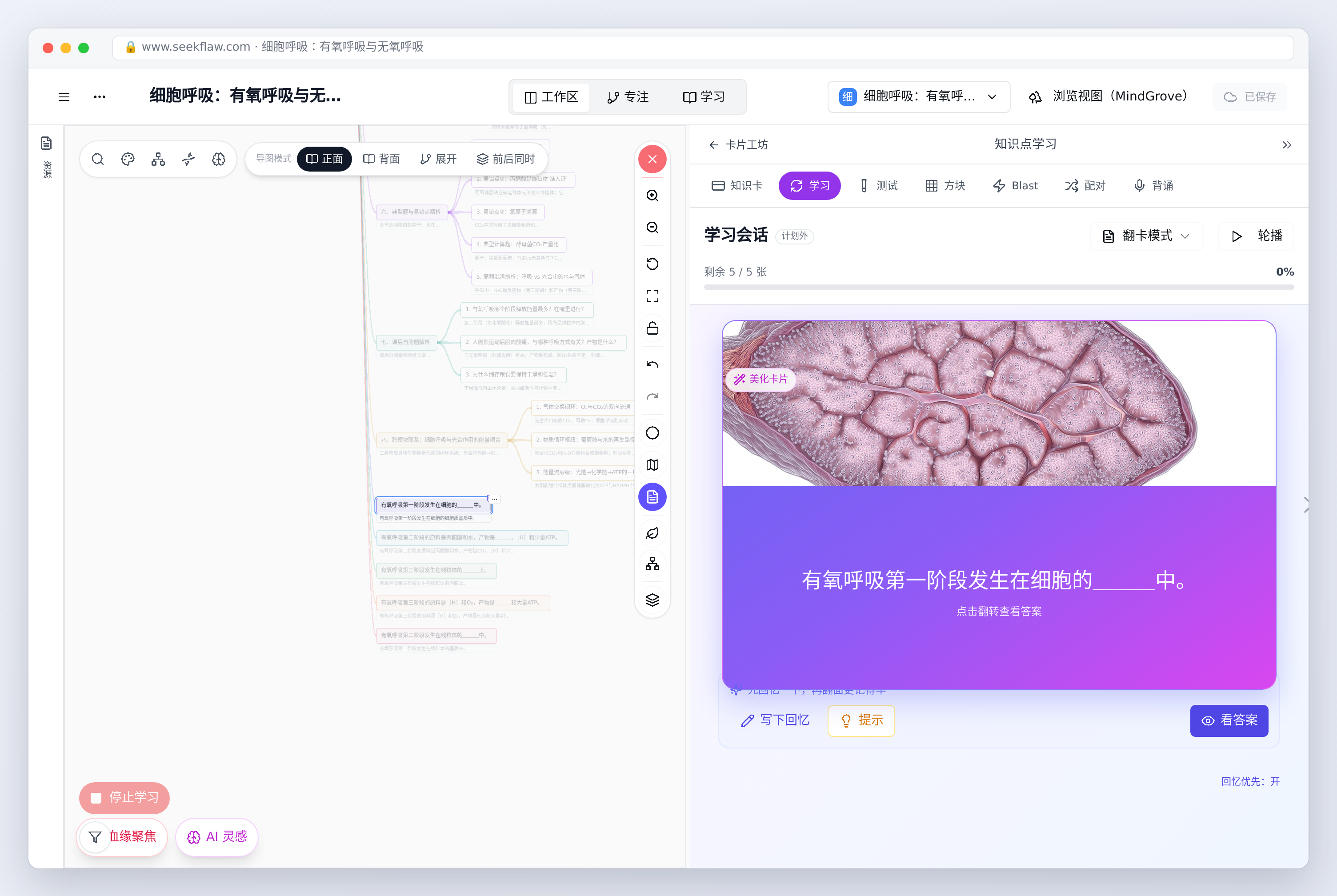 学习会话里的精美卡片