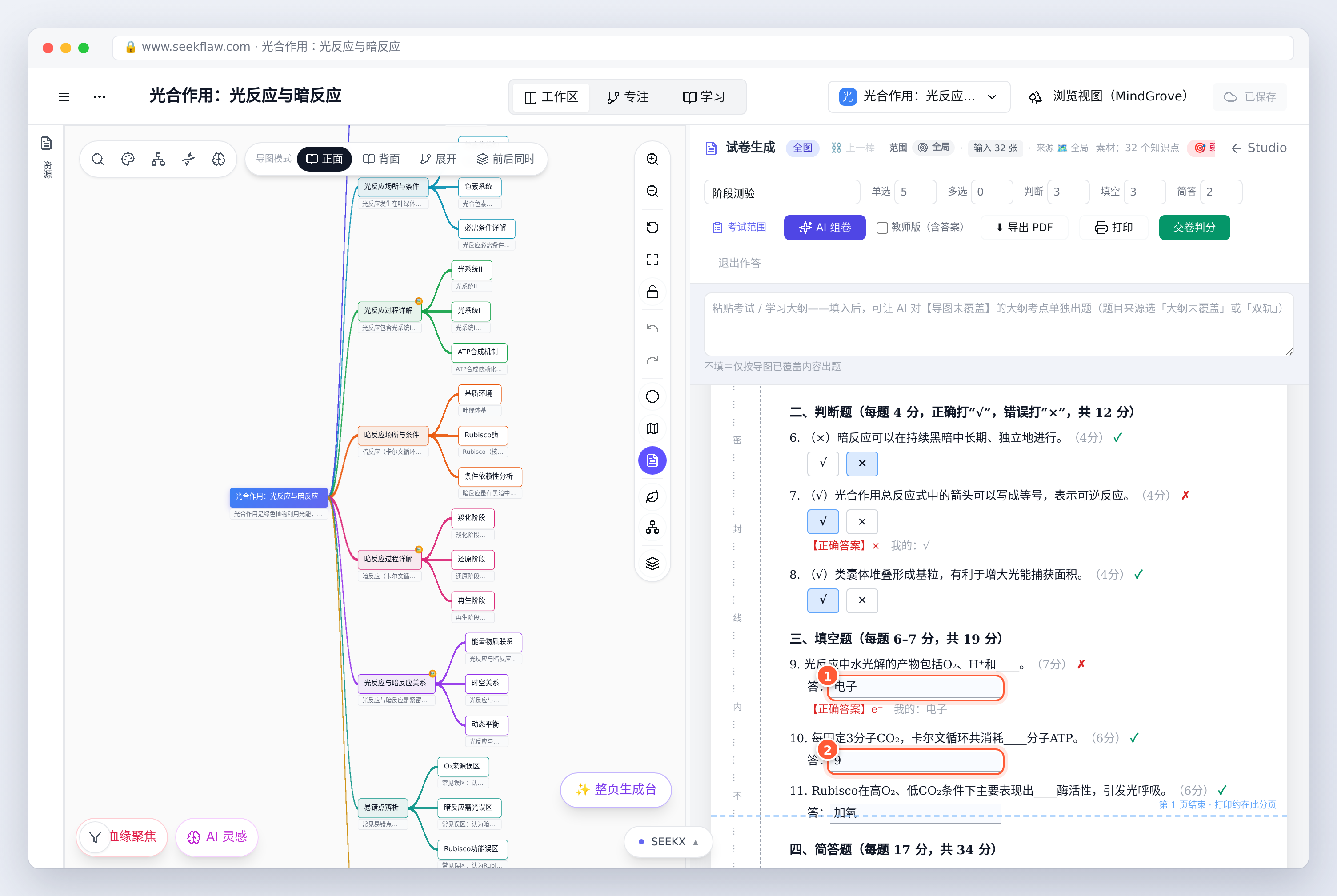 逐题批改：✓ / ✗、【正确答案】与我的答案