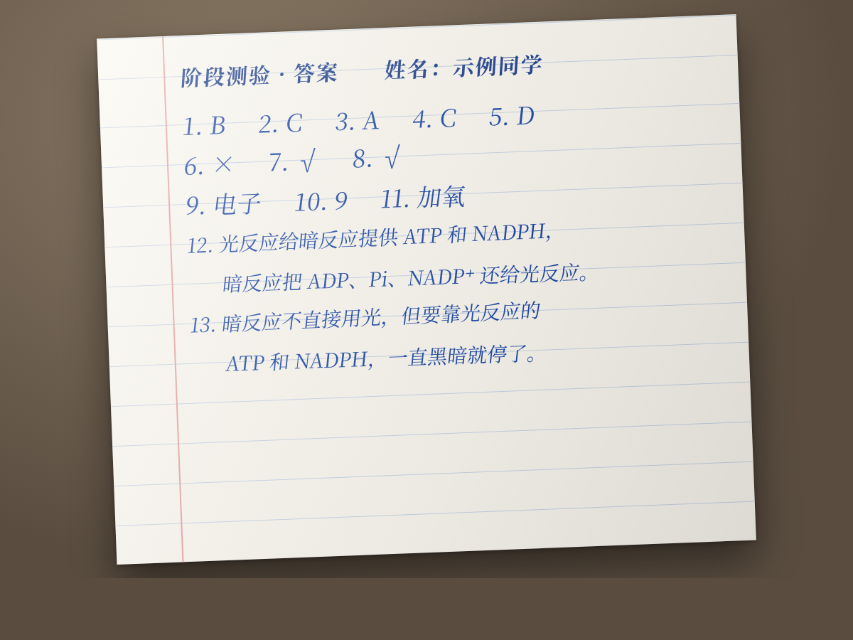 一张写好答案的答题纸照片