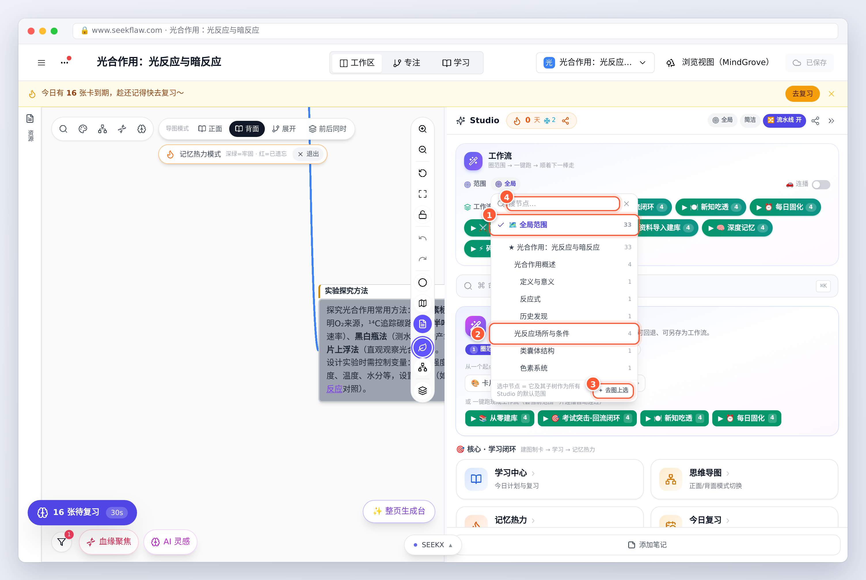 范围选择：全局范围、按分支选择、去图上选、搜索节点