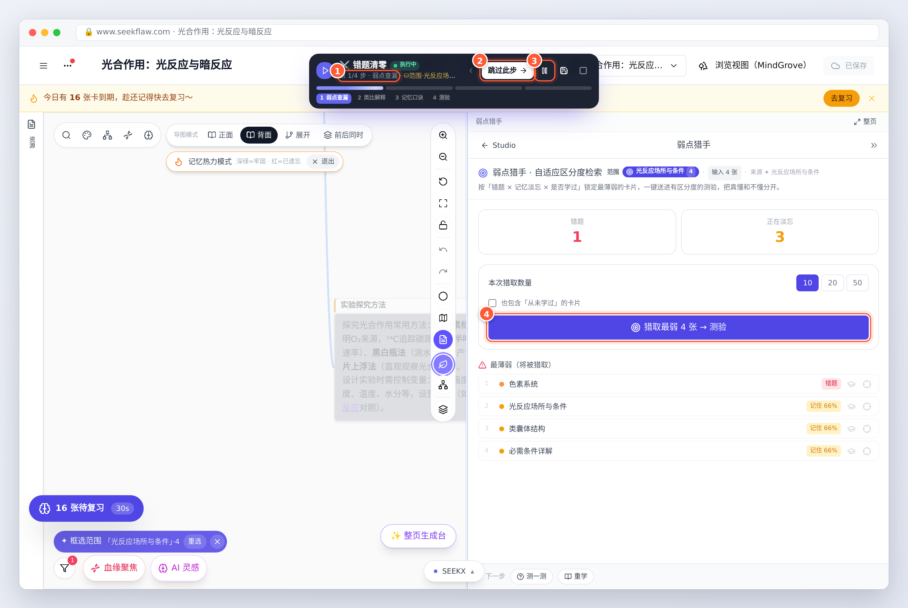 执行条：当前第几步、数据源、跳过此步与暂停；第一步「弱点查漏」只看选定的分支