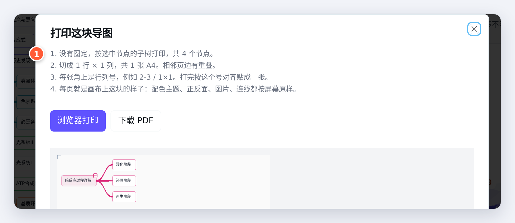 没有圈定、只选中了暗反应过程详解：按选中节点的子树打印，共 4 个节点