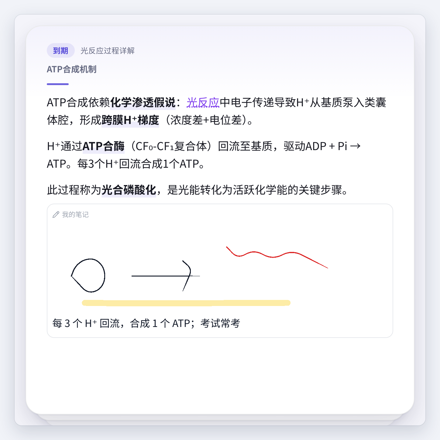 写好之后，背面正文下面出现「我的笔记」块：上面是手写，下面是打字